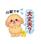 かわいいトイプードル「長文」（個別スタンプ：29）