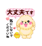 かわいいトイプードル「長文」（個別スタンプ：30）