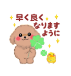 かわいいトイプードル「長文」（個別スタンプ：31）