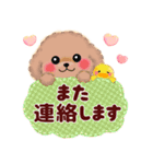 かわいいトイプードル「長文」（個別スタンプ：37）