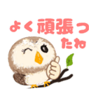気持ちを伝える★フクロウ（個別スタンプ：6）