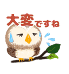 気持ちを伝える★フクロウ（個別スタンプ：33）