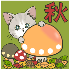 [LINEスタンプ] 【動く】仔猫のぽんにゃん☆毎日使える