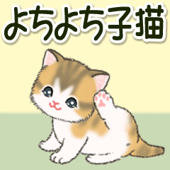 [LINEスタンプ] よちよち子猫の毎日