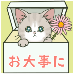 [LINEスタンプ] 【しんどい時に使える】仔猫のぽんにゃん