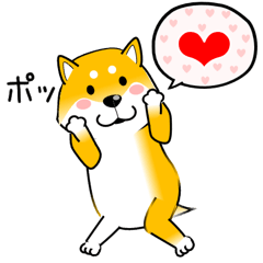 [LINEスタンプ] 激しく尻尾をふる柴犬【応用篇】