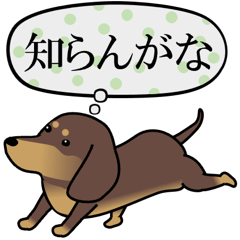 [LINEスタンプ] 激しく尻尾をふるイヌ Episode0