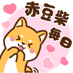 [LINEスタンプ] 赤豆柴 きなこ♡毎日使えるスタンプ