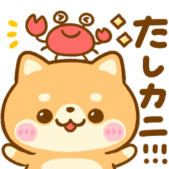 [LINEスタンプ] 豆柴♡だじゃれ