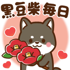 [LINEスタンプ] 黒豆柴 あずき♡毎日使えるスタンプ