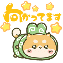 [LINEスタンプ] 可愛く動く☆まるもこ豆柴【赤柴】