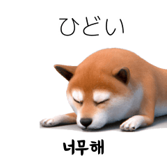 [LINEスタンプ] 日常韓国語 40P