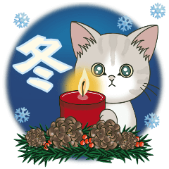 [LINEスタンプ] とびだす❤子猫のぽんにゃん•日常❤冬編