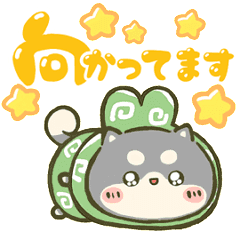 [LINEスタンプ] 可愛く動く☆まるもこ豆柴【黒柴】