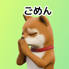 [LINEスタンプ] 柴犬ビッグステッカー40p FFl