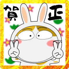 [LINEスタンプ] 年末年始も、猫三昧