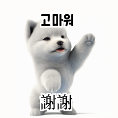 [LINEスタンプ] [韩语]可爱的小天使北极白色小狗 qcB
