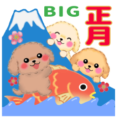 [LINEスタンプ] 【BIG】トイプードルのお正月【改訂版】