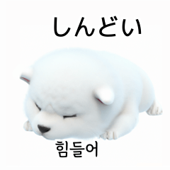 [LINEスタンプ] 韓国語会話 サモエド犬KRJP nLz