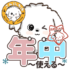 [LINEスタンプ] 愛犬♡マルチーズのスタンプ【年中】