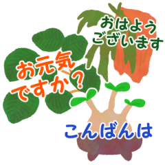 [LINEスタンプ] 年中使える♡観葉植物 挨拶や日常会話