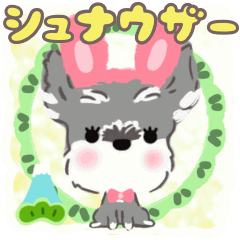 [LINEスタンプ] 動くシュナウザーこむぎ年末年始