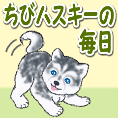 [LINEスタンプ] ちびハスキーの毎日（男女兼用）