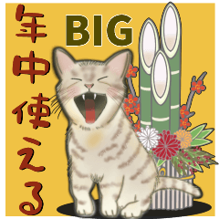 [LINEスタンプ] ❤️年中使える❤️モフ猫たち❤️Bigサイズ