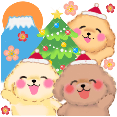 [LINEスタンプ] 年中使えるかわいいトイプードル