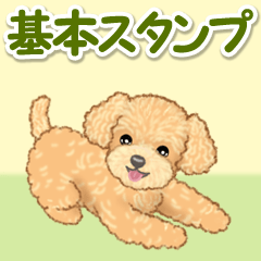 [LINEスタンプ] 可愛いトイプードルの男の子 基本スタンプ