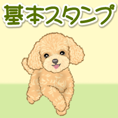 [LINEスタンプ] 可愛いトイプードルの女の子 基本スタンプ
