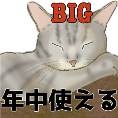 [LINEスタンプ] 年中使う❤️モフ猫連合03❤️BIGサイズ