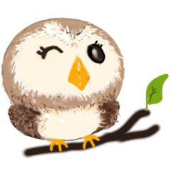 [LINEスタンプ] 年中使える★フクロウ