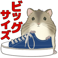 [LINEスタンプ] BIG❤️可愛くずっと使える❤️ハムスター