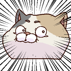 [LINEスタンプ] 猫、無言の圧