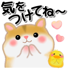 [LINEスタンプ] 家族の連絡ハムスター「ハムたん」【再販】