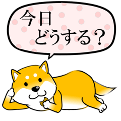 [LINEスタンプ] 激しく尻尾をふる柴犬 【年中使える❤】