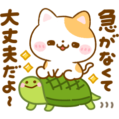 [LINEスタンプ] 大人の思いやり♡ねこねこにゃんこ