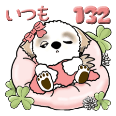 [LINEスタンプ] シーズー犬 132『いつも・ずっと使ってね』