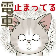 [LINEスタンプ] 【雪の日の】仔猫のぽんにゃん【連絡に】の画像（メイン）