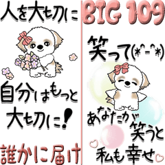 [LINEスタンプ] 【Big】シーズー犬 109『誰かに届け』