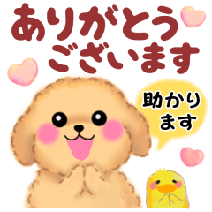 [LINEスタンプ] かわいいトイプードル「長文」